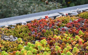 the cost of Chapel End green roof installation