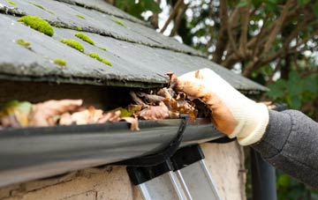 gutter cleaning Chapel End
